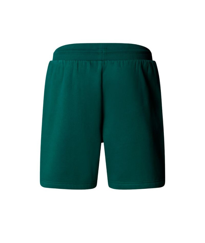 Pantalones de Montaña The north Face Box Nse...