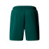 Calça de Montanha The North Face Box NSE Regular Green Homem
