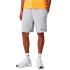 Calça Champion Bermuda Homem Cinza