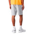 Calça Champion Bermuda Homem Cinza