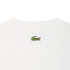 Camiseta Lacoste Tee-Shirt Homem Calcaire/Faucon