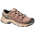 Chaussures de Montagne Salomon X-Adventure Recon Desert Tan/Falcon/Martini Homme