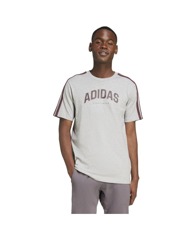 Camiseta adidas Colleg Homem Cinza