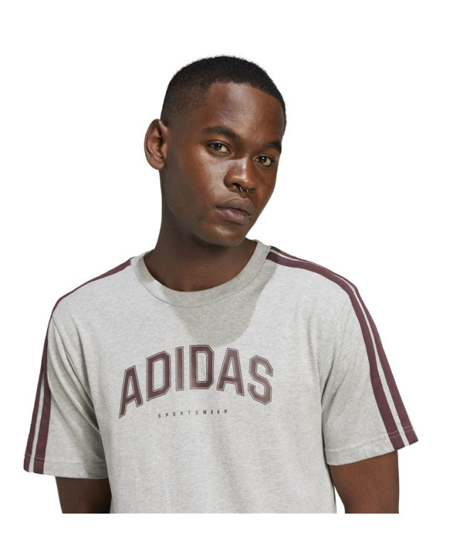 Camiseta adidas Colleg Homem Cinza