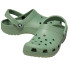 Tamancos Crocs Classic Musgo Verde