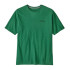 Camiseta de Montanha Patagonia P-6 Logo Homem Folha de coração verde