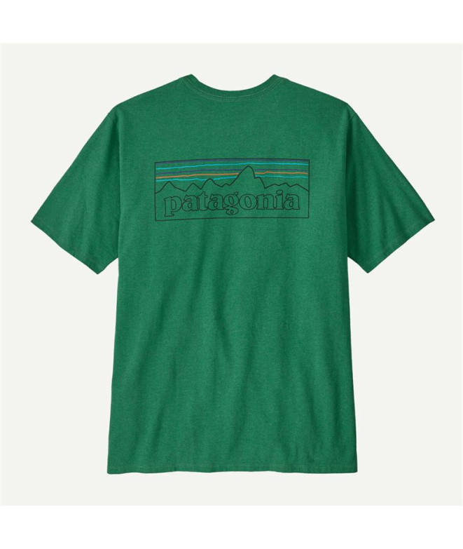 Camiseta de Montanha Patagonia P-6 Logo Homem...