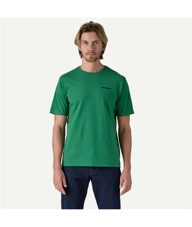 Camiseta de Montanha Patagonia P-6 Logo Homem...