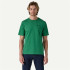Camiseta de Montanha Patagonia P-6 Logo Homem Folha de coração verde