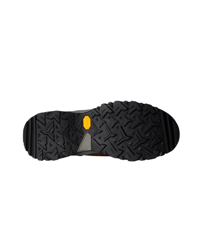 Zapatillas de Montaña The north Face Hedgehog...
