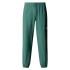 Calça The North Face Mountain Athletics Wind Homem Verde