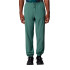 Calça The North Face Mountain Athletics Wind Homem Verde