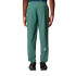Calça The North Face Mountain Athletics Wind Homem Verde