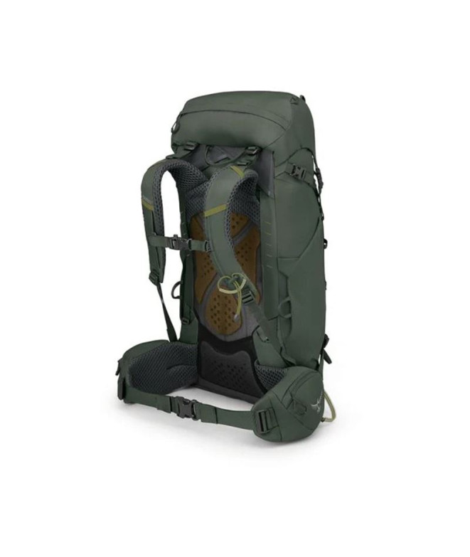 Mochila de Montaña Osprey Kestrel 38 Hombre Verde