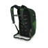 Sac à dos de Montagne Osprey Daylite Plus Vert