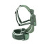 Mochila de Montanha Osprey Poco Soft Child Carrier Infantil Verde
