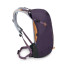 Mochila de Montanha Osprey Hikelite 18 Roxo