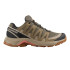 Sapatilhas de Montanha Salomon X-Adventure Recon Gtx Bege/Oliva