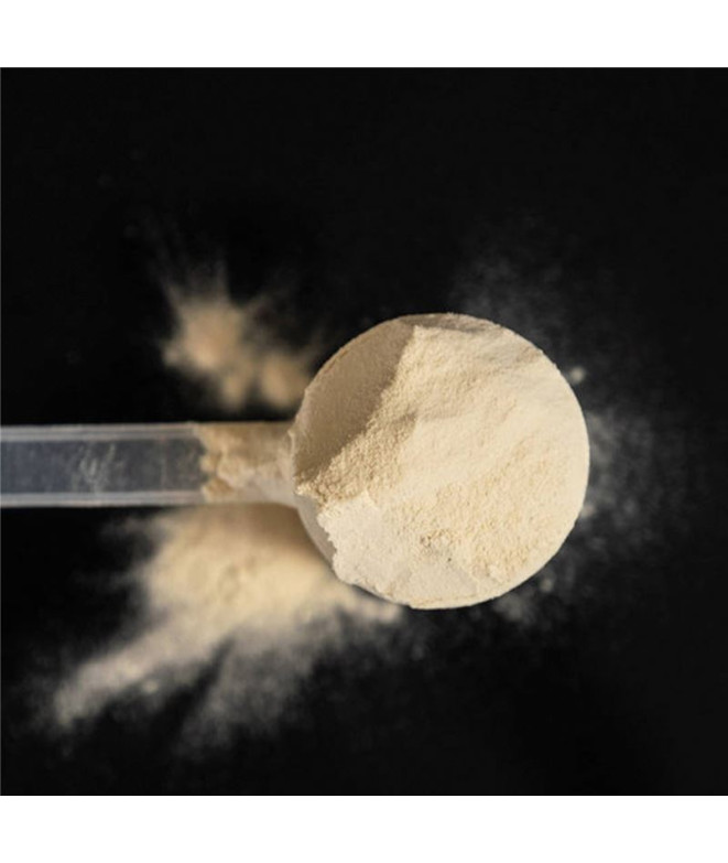 Proteina Naak Vanilla - Ultra Recovery™ Protein...