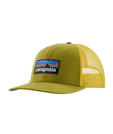 Casquette Patagonia P-6 Logo Trucker Vert