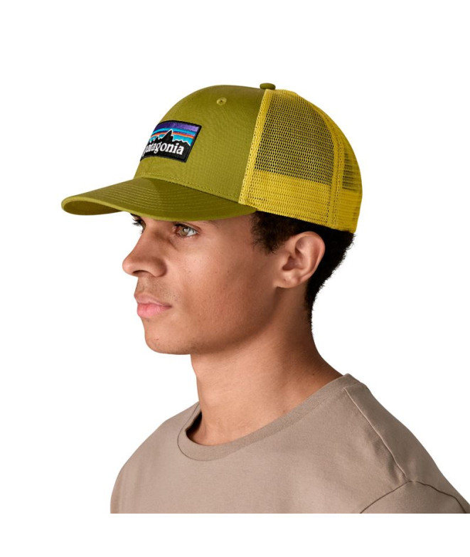 Casquette Patagonia P-6 Logo Trucker Vert