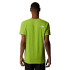 Camiseta The north Face Lightning Alpine Hombre Verde