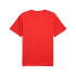 Camiseta de Fitness Puma M Tad Essentialsential Heat,Red Fire Heathe, Hombre