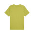Camiseta Puma tech Graphic Sea Kelp Hombre