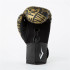Luvas de Boxe Everlast Fse Spark Preto/Dourado