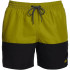 Bañador de Playa y Piscina Nike Split Hombre Verde