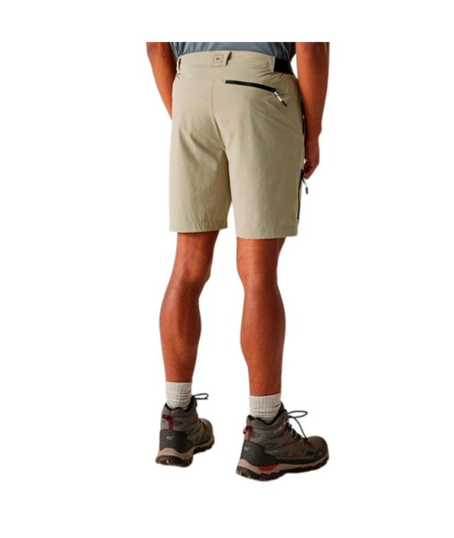 Pantalon de Montagne Regatta TrvlLghtPckawaySh...