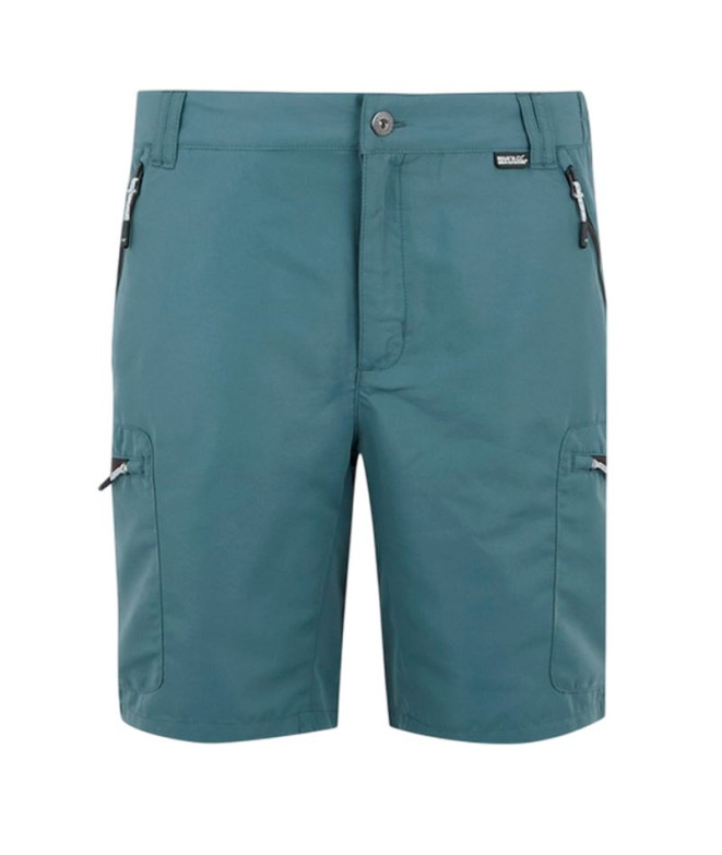 Pantalón de Montaña Regatta LeesvilleShrtIII Hombre StormyWeathr