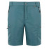 Calça de Montanha Regatta LeesvilleShrtIII Homem StormyWeathr