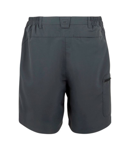 Pantalon de Montagne Regatta ChaskaShortsIII Femme Gris Seal 2