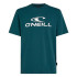 Camiseta O'Neill Logo T-Shirt Homem Azul Esverdeado