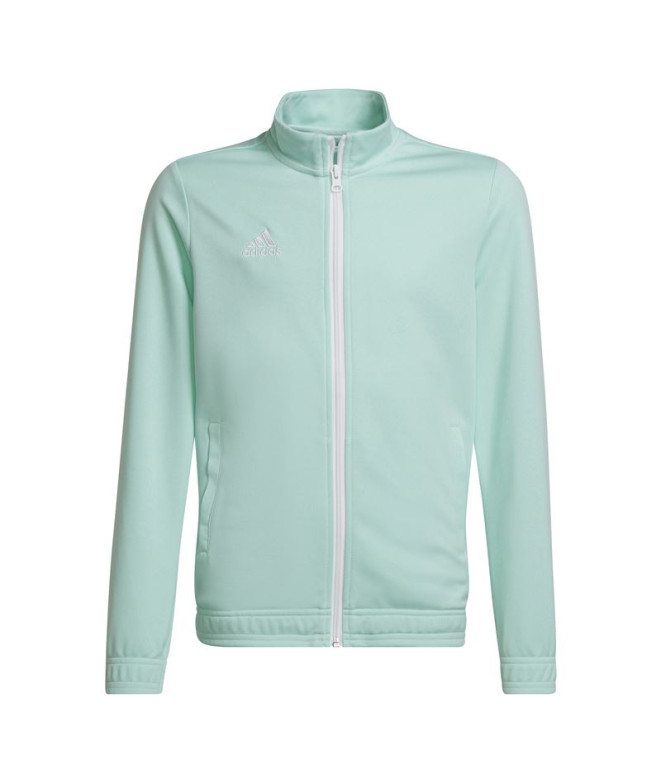 Chaqueta de Fútbol adidas Entrada22 Tk Infantil Menta