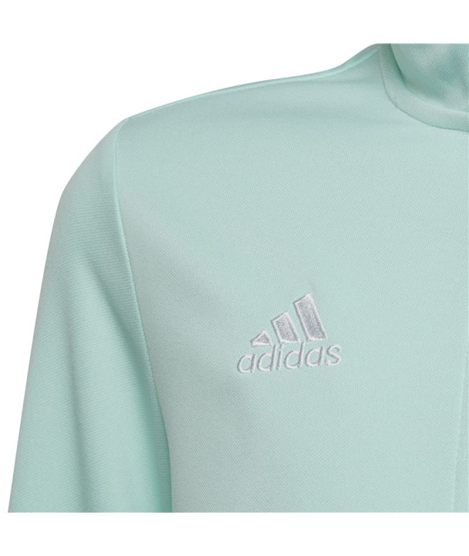 Casaco de Futebol adidas Entrada22 Tk Infantil...