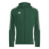 Coupe-vent de Football adidas Tiro24 Homme Vert