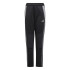 Pantalon de Football adidas Tiro24 Winterized Enfant Noir