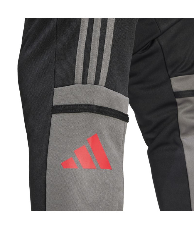 Calça de Futebol adidas Squadra25 Tr Homem Preto