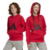 Moletom adidas Bl French Terry Hd 280 Infantil Rubpur/Preto