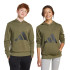 Moletom adidas Bl French Terry Hd 280 Infantil Verde Escuro/Preto