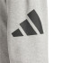Pantalons adidas Bl French Terry Homme Gris/Noir