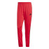 Chandal adidas 3 Bandas Tr Tt Ts Homem Rubpur