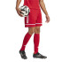 Calça de Futebol adidas Squadra25 Sho Homem Vermelho