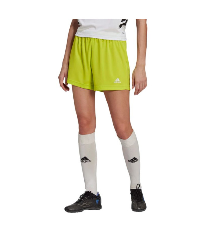 Pantalons de Football adidas Entrée22 Sho Femme...