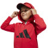 Chandal adidas Lk Bl Fl Fz Ts Infantil Rubpur/Negro
