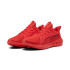 Sapatilhas de Running Puma Softride Carson Homem Vermelho/Preto