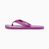 Chinelos Puma Epic Flip V2 Homem Malva rosa/Baya silvestre