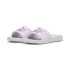 Tongs Puma Popcat 20 Homme Lilas scintillantes/Fruits des bois